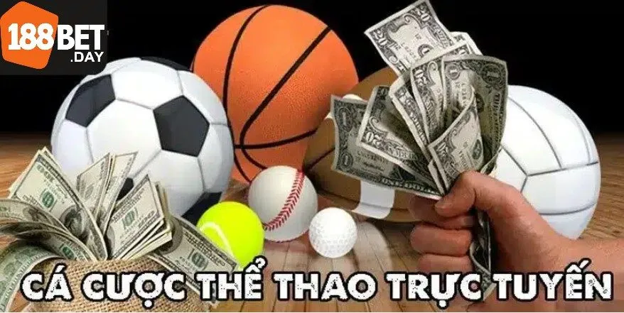 Các đối tác lâu năm của thể thao 188bet